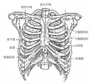 μĤǳӰǰ棩