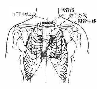 ز־ߣǰ棩